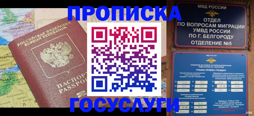 прописка регистрация в Камчатской области